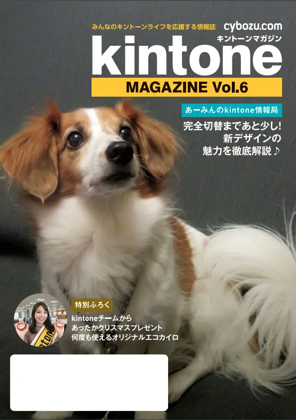 kintone MAGAZINE Vol.6